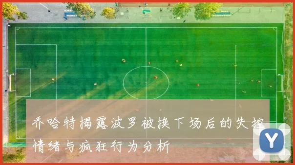 乔哈特揭露波罗被换下场后的失控情绪与疯狂行为分析